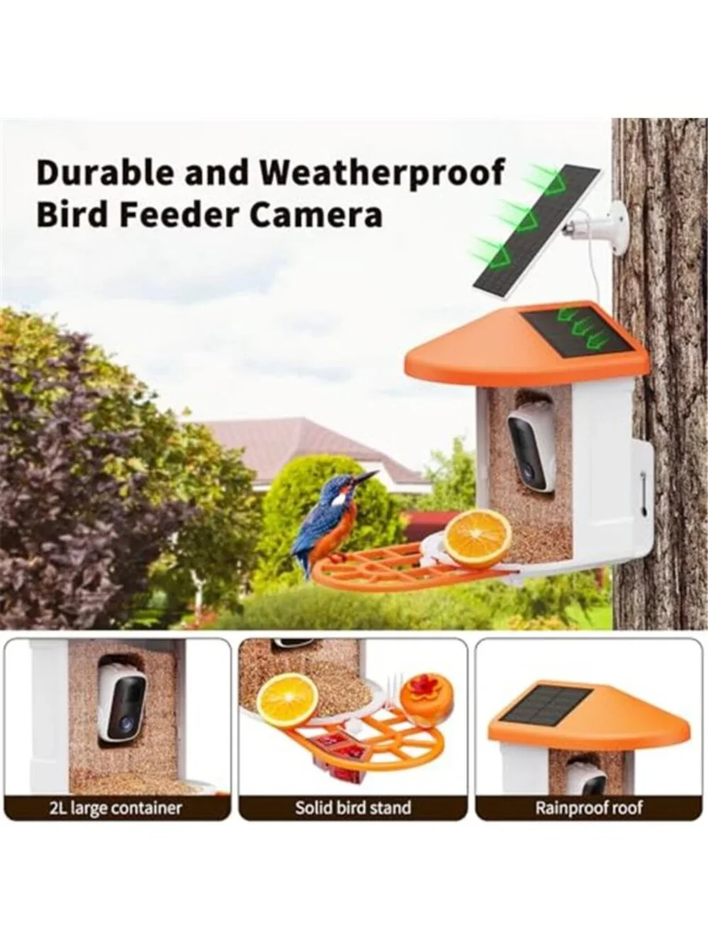New Bird Feeder with Camera with AI Identify Birds Species Solar Powered